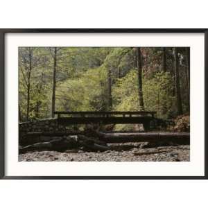  Footbridge over a Dry Stream in Yosemite Collections 