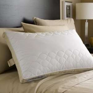  Sealy Posturepedic Excell Down & Feather Pillow   Standard 