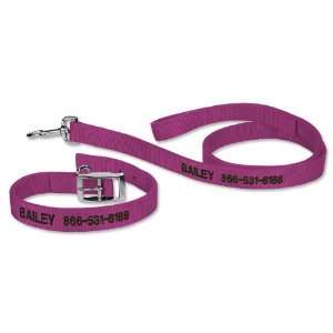   Buckle Collar And Lead / 6 Lead, Orchid