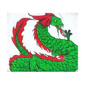  T shirt, Dragons (White) Xx lg 