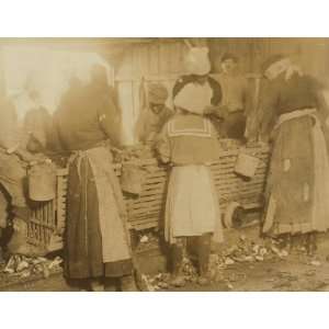  1913 child labor photo A crowd of negro oyster shuckers 