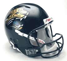   NFL Revolution Authentic Pro Line Full Size Helmet from Riddell