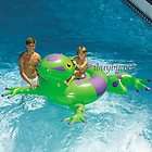 INFLATABLE FLOAT RIVER LAKE BEACH TUBE TOY RIDE ON RAFT