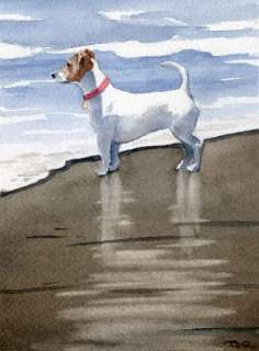 Jack Russell Terrier at the Beach