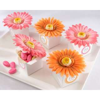 Wedding Favor Boxes   Hot Pink Daisy Favor Boxes ( Set of 24 ) Party 