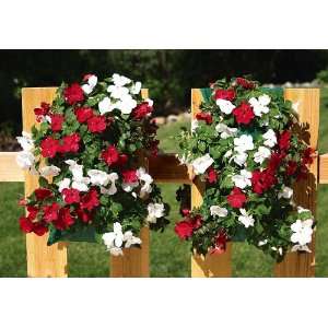  2 Red And White Impatiens Hanging Flower Bags by Winston 