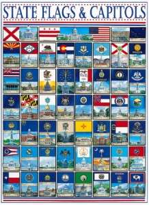 STATE FLAGS & CAPITOLS 1000 piece Jigsaw Puzzle USA NEW  
