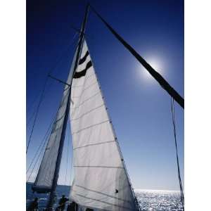  A Tourist Catamaran on Shark Bay in the Afternoon National 