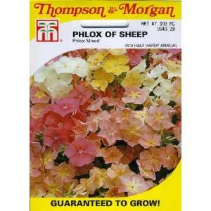  Thompson & Morgan 7410 Phlox of Sheep Phlox Mixed Seed 