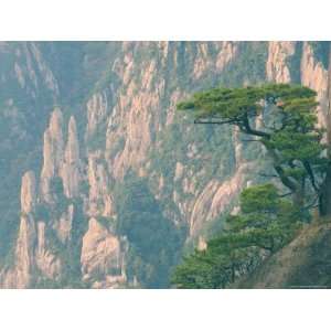 Rocks and Pine Trees, White Cloud Scenic Area, Huang Shan 